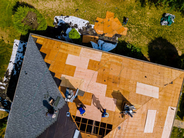 Best Roof Gutter Cleaning  in St Michael, MN