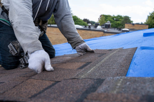 Best Residential Roofing Contractor  in St Michael, MN